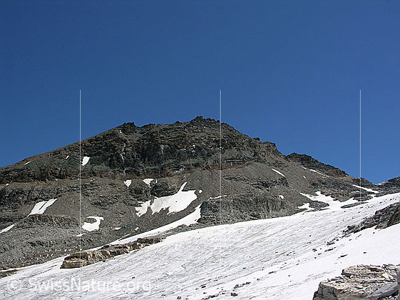 Foto: Helsegletscher und Helsenhorn von W.