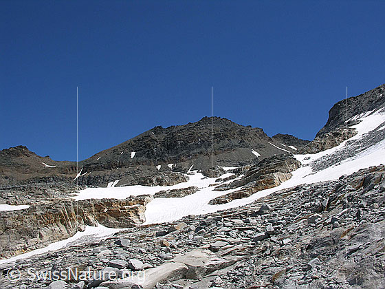 Foto: Helsegletscher und Helsenhorn von W.