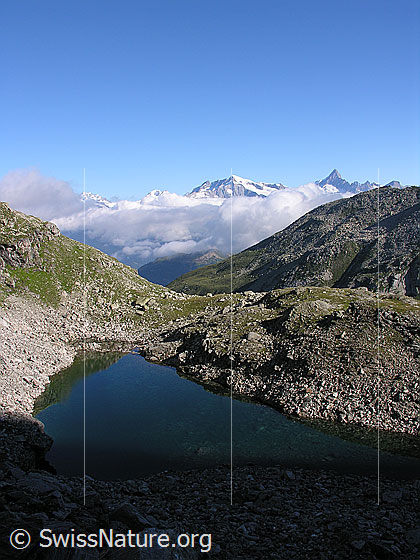 Foto: Im Aufstieg zum Halbelfjoch. Blick über den Fleschsee Richtung Berner Alpen auf Gross Wannenhorn und Finsteraarhorn.