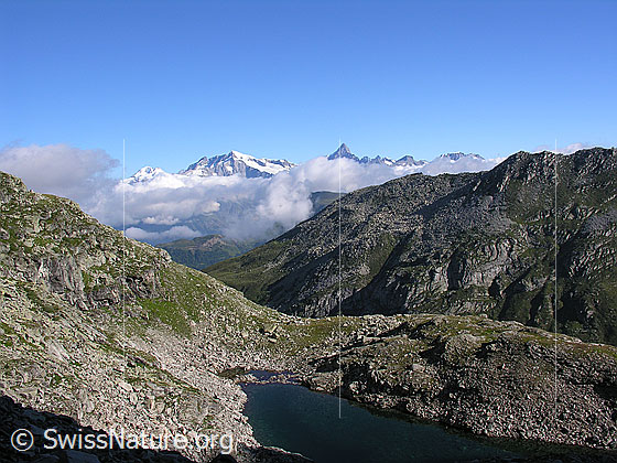 Foto: Im Aufstieg zum Halbelfjoch. Blick über den Fleschsee Richtung Berner Alpen auf Gross Wannenhorn und Finsteraarhorn.