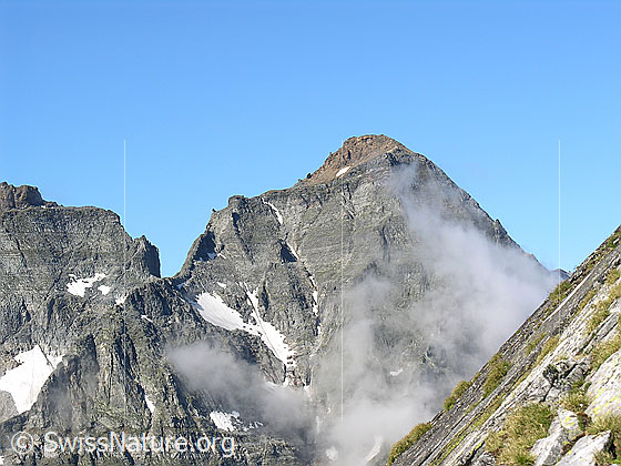Foto: Blick vom Halbelfjoch beim Wannigletscher zur Vorderen Helse.