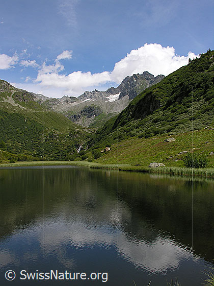 Foto: Halsesee mit schwacher Spiegelung und Ofenhorn und Tälli im Hintergrund.