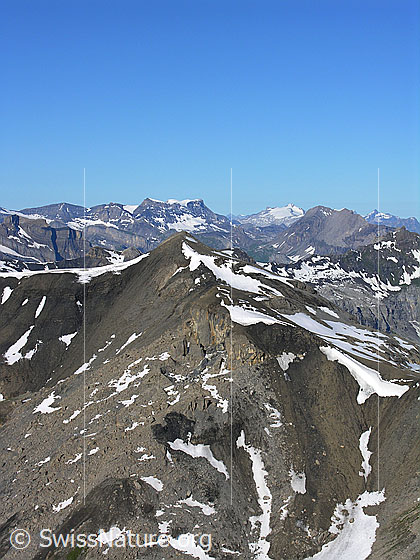 Foto: Blick vom Schilthorn zum Hundshorn. Im Hintergrund Wildstrubel, Wildhorn und Lohner.
