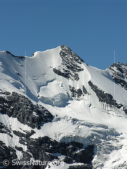 Foto: Blick vom Hundshorn zur Wyssi Frau (Blüemlisalp) mit Hängegletscher.
Gletscher: Morgenhorngletscher.