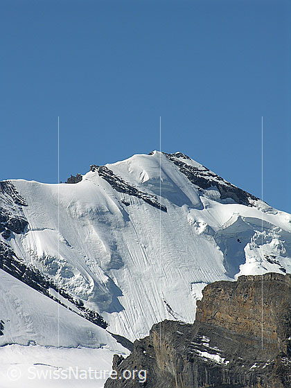 Foto: Blick vom Hundshorn auf die Nordwand des Blüemlisalphorns mit Hängegletscher. 
Gletscher: Blüemlisalpgletscher.