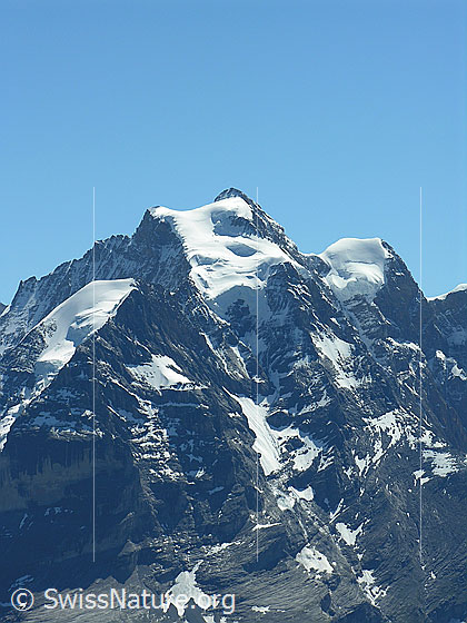 Foto: Blick vom Hundshorn zu Silberhorn, Jungfrau und Rottalhorn.