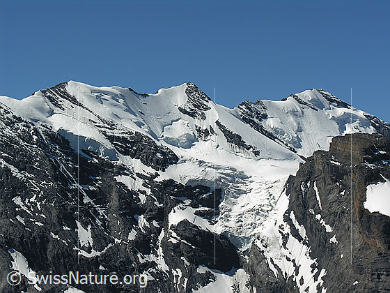 Foto: Blick vom Hundshorn auf die Blüemlisalp mit Morgenhorn, Wyssi Frau und Blüemlisalphorn. Im Vordergrund: Wildi Frau.