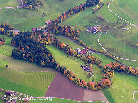 Foto: Luftaufnahme Emmental im Herbst mit Wald, Feldern und Streusiedlung. Eine Hecke mit Laubbäumen in den Herbstfarben bildet eine Schlaufe um einen Bauernhof.