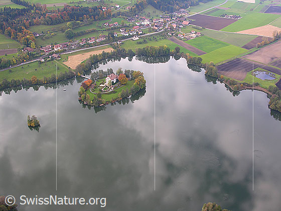 Foto: Inseln im Mauensee, Dorf Mauensee und Herbstwald. Auf einer Insel ist das Schloss mit Schlosspark zu sehen. Die Buchenhecke am Ufer und die Wolkendecke spiegeln sich im ruhigen See.