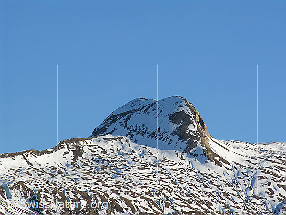 Foto: Blick vom Mässersee zum teilweise mit Schnee bedeckten Holzjihorn.