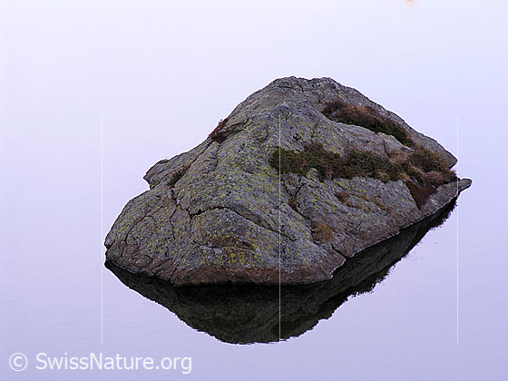 Foto: Spiegelung eines Felsblocks im Mässersee. Der Felsblock ist mit herbstlich gefärbten Pflanzen bewachsen.