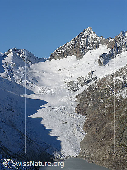 Foto: Im Aufstieg zum Sidelhorn. Blick zum Nollen, Oberaarjoch, Oberaarhorn und auf den Oberaargletscher, welcher in den Oberaarsee mündet. Auf dem Gletscher ist die Spiegelung eines gezackten Felsgrates als Schattenbild zu sehen.