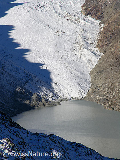 Foto: Blick vom Sidelhorn auf den Oberaargletscher, welcher in den Oberaarsee mündet. Auf dem Gletscher ist die Spiegelung eines gezackten Felsgrates als Schattenbild zu sehen.