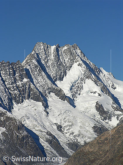 Foto: Blick vom Sidelhorn zum Lauteraarhorn, Schreckhorn, Nässihorn und auf den Lauteraargletscher.