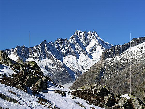 Foto: Im Abstieg vom Sidelhorn. Blick auf Hugihorn, Klein Lauteraarhorn, Lauteraargletscher, Lauteraarhorn, Schreckhorn. Im Vordergrund rechts das Rothoren.