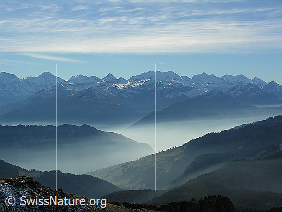 Foto: Blick vom Hohgant West über feine Nebelschichten zwischen Gratkanten zu den Berner Alpen.