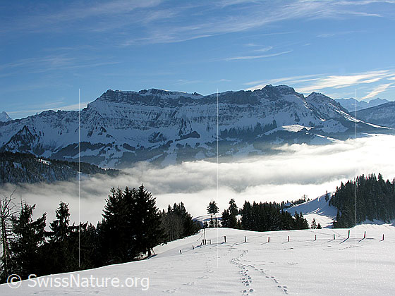 Foto: Blick vom Wachthubel über Emmentaler Hügel und Nebelmeer zum Hohgant.