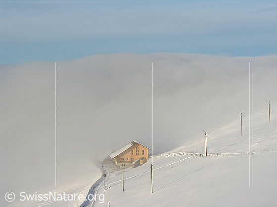 Foto: Bauernhaus in schneebedeckter Winterlandschaft an der Nebelgrenze bei Rämisgummen, Eggiwil.
