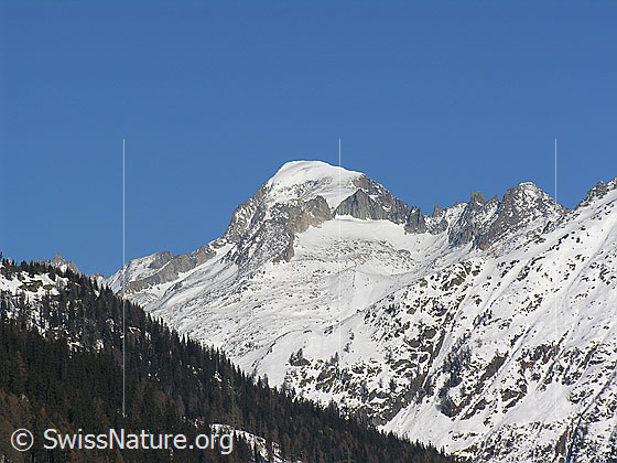 Foto: Blick von Obergesteln zum schneebedeckten Galenstock.