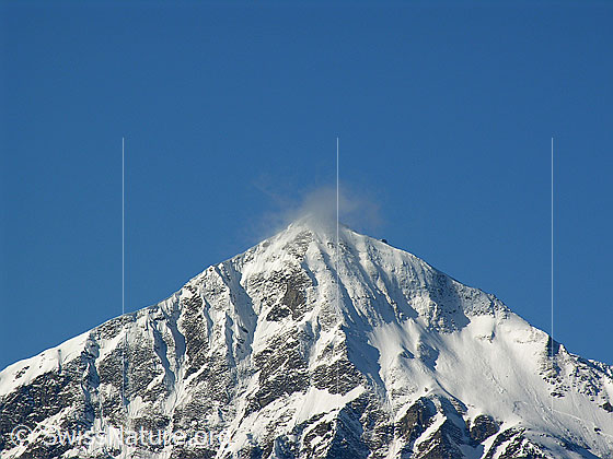 Foto: Verschneiter Gipfel des Niesen mit kleiner Quellwolke.