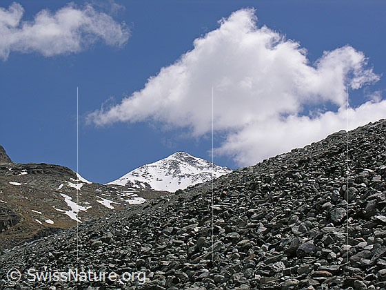 Foto: Blick über die Talseite des Staudamms zum Stelli.