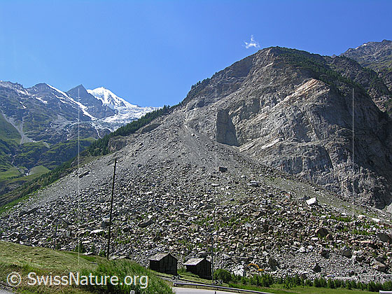 Foto: Kegel des Bergsturzes bei Randa. Darüber das Weisshorn und der Bisgletscher.