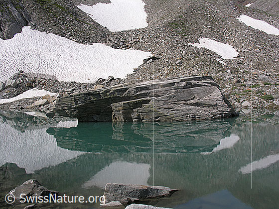 Foto: Ein grosser Felsblock spiegelt sich im Mättitalsee. Kleine Schneefelder bedecken Teile der Geröllhalde im Hintergrund.
