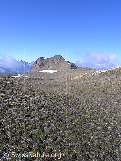 Foto: Blick vom Rappegrat über eine steppenähnliche Fläche zum Holzjihorn.