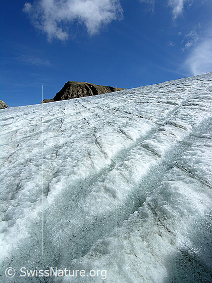 Foto: Gletscherbäche und Jahrringe auf dem Rappegletscher. Im Hintergrund das Rappehorn mit Quellwolken. Supraglaziale Entwässerung des Gletschers.
