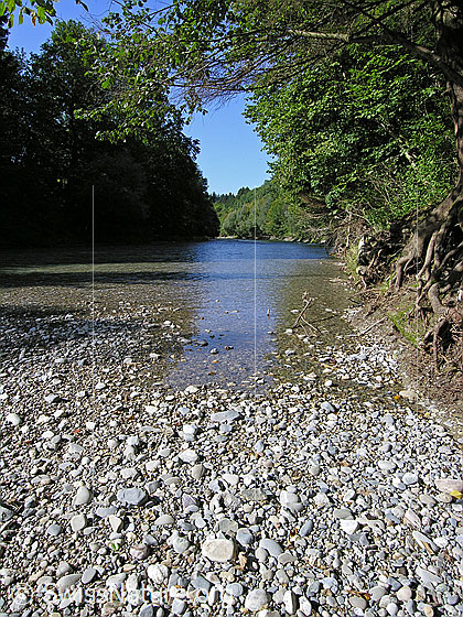 Foto: Emme bei Hasle-Rüegsau