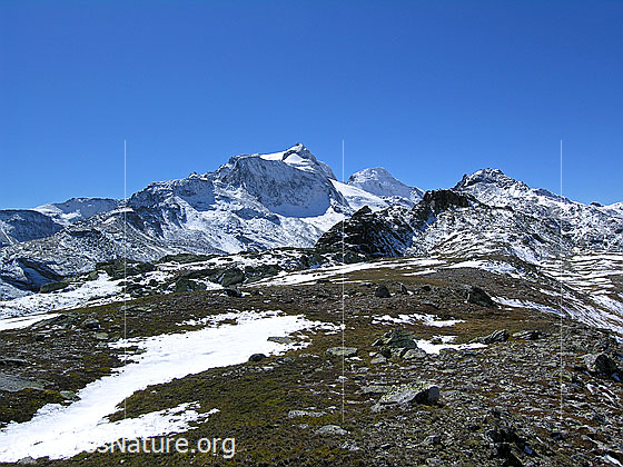 Foto: Blick über den Sickeregale zu frisch verschneitem Hillehorn, Bortelhorn und Gibelhorn.