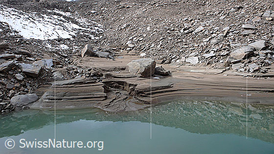 Foto: Durch Erosion und Sandablagerungen während der Absenkung des Bergsees sind dieser kleine Canyon und das Delta entstanden. Die verschiedenen Schichten im Sand bilden interessante Strukturen. Als Folge der etwas aufgetauten Permafrostzone in diesem Gebiet hat sich der Wasserspiegel abgesenkt und das Eisfeld im Hintergrund ist geschmolzen.