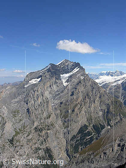 Foto: Doldenhorn von SW. Steile, gegen 2000m hohe Felswände fallen ins Gasteretal ab.
Gletscher am Doldenhorn: Links der Fulegletscher, rechts der Silleregletscher.