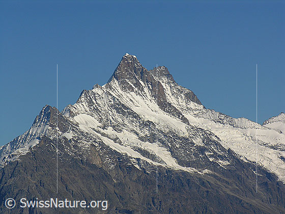 Foto: Klein Schreckhorn, Nässihorn, Schreckhorn und Lauteraarhorn.