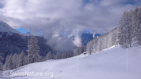 Foto: Tief verschneite Berglandschaft bei Eggerebode mit unberührter Schneedecke und Lärchenwald im Streiflicht. Durch Wolkenlücken sind Berge sichtbar.