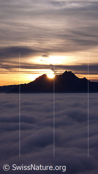 Foto: Sonnenuntergang mit Pilatus und Nebelmeer.