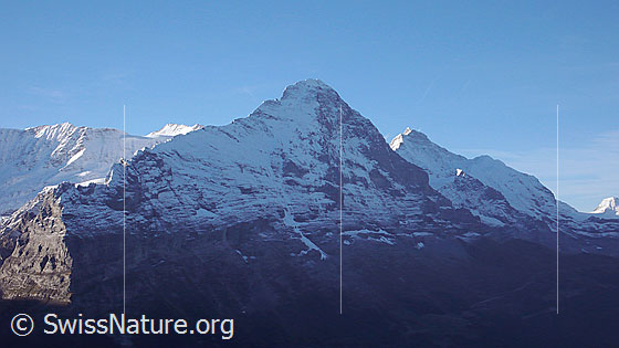 Foto: Das Felsmassiv des Eiger liegt noch im Schatten. Schön zusehen sind Ostegg, Mittellegi, Hörnli und die Eigernordwand. Die Gipfelbereiche von Walcherhorn und Jungfrau werden bereits von der Sonne beschienen.