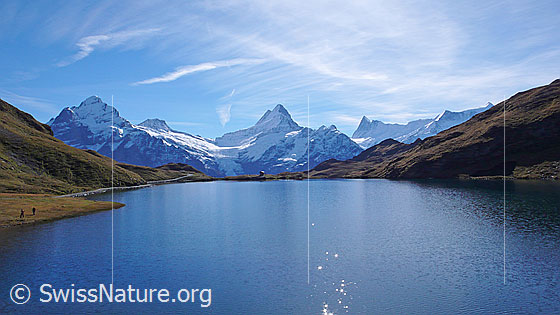 Foto: Blick über den leicht gewellten Bachalpsee zu den Berner Alpen mit Wetterhorn, Bärglistock, Lauteraarhorn, Schreckhorn, Kleines Schreckhorn, Finsteraarhorn und Ochs.
