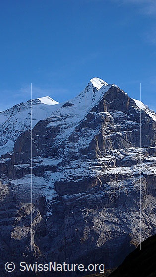 Foto: Mittelhorn, Wetterhorn und Nordwand des Scheideggwetterhorn.