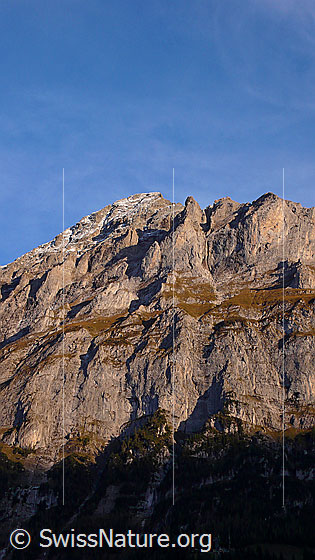 Foto: Mättenberg (Grindelwald) im Abendlicht.