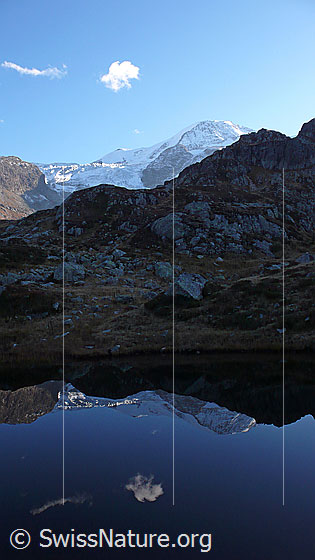 Foto: Spiegelung des Gwächtenhorns und einer kleinen Wolke in ruhigem Bergsee.