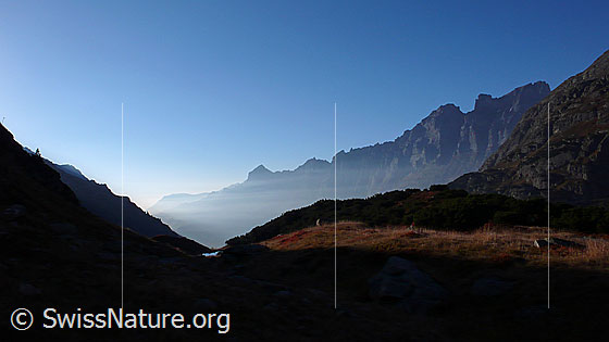 Foto: Herbststimmung mit Tällistock, Gadmerfluh, Mähren und Wendenstöcke. Eine feine Nebelschicht liegt über dem Gadmertal. Die Alpweide im Vordergrund ist herbstlich gefärbt.
