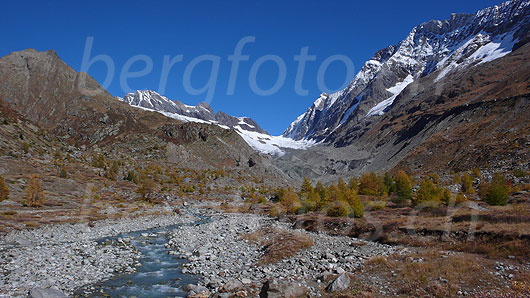 Foto: Ursprüngliche Berglandschaft im Lötschental. Der Gletscherbach Lonza fliesst durch das Geröll durchsetzte und herbstlich gefärbte Gletschervorfeld des Langgletschers. Im Hintergrund sind Jegichnubel, Anungrat, Anuchnubel, Lötschenlücke, Sattelhorn, Distlighorn und Schinhorn zu sehen.