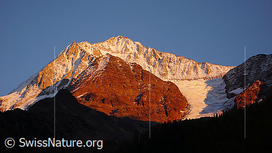 Foto: Berge im Abendlicht. Zu sehen sind Bietschhorn, Klein Nesthorn und Nestgletscher. Rechts der Schafberg.