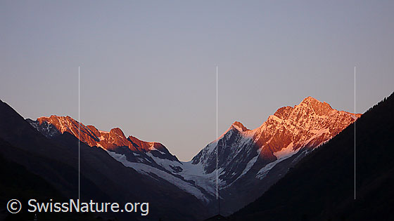 Foto: Abendstimmung über dem Lötschental.
Gipfel & Übergänge:  Anungrat - Lötschenlücke - Sattelhorn - Schinhorn
Gletscher: Anungletscher - Langgletscher