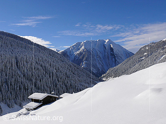 Foto: Bergtal und Alphütte im Neuschnee. Der Bergwald des Binntals ist tief verschneit. Über dem Breithorn sind Wolkenfelder am blauen Himmel zu sehen. Die Schneefläche im Vordergrund ist unberührt.