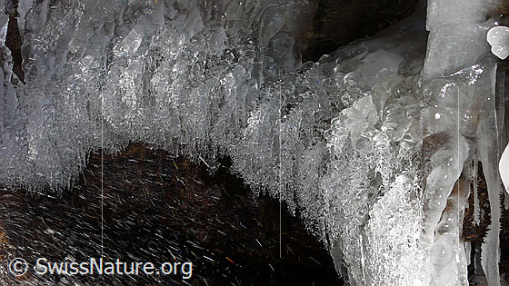 Foto: Gefrierendes Wasser (Eisbirne). Wassertropfen spritzen ans Ufer eines Bergbaches und gefrieren zu einem glitzernden Kunstwerk aus Eis.