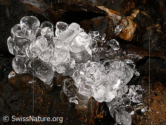 Foto: Skulptur aus klaren, rundlichen Eisstücken am Ufer eines Bergbaches.