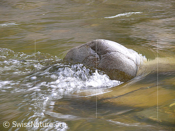 Foto: Wasser umfliesst einen abgeschliffenen Stein in der Emme und bildet einen kleinen Strudel.