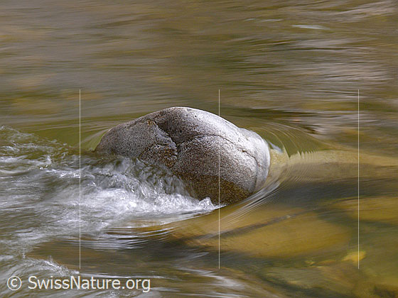 Foto: Wasser umfliesst einen abgeschliffenen Stein in der Emme und bildet einen kleinen Strudel.